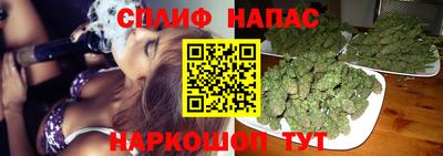 эйфоретик Пугачёв