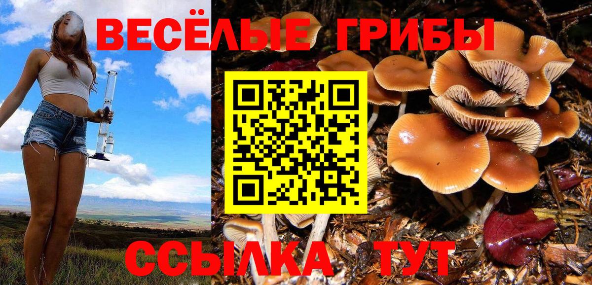 Россошь  Псилоцибиновые грибы прущие грибы  Вход с VPN 